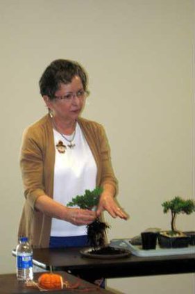 loc slt garden club