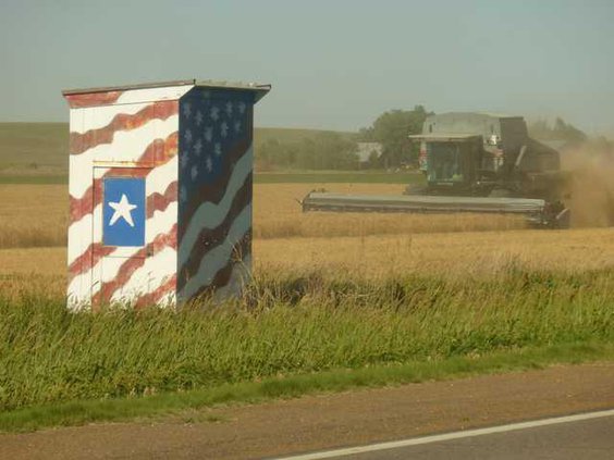 harvest 026