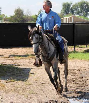 new lgp wildhorseadoptionpic