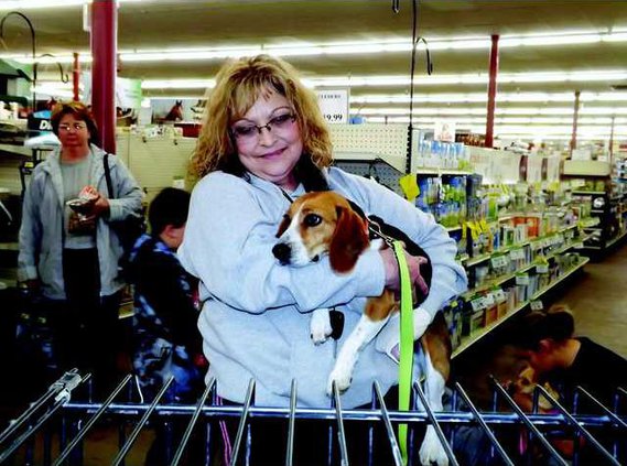 new slt pet adoption MAIN Loretta-w-Maple
