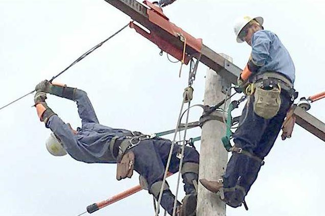 biz lgp linemansrodeopic1web