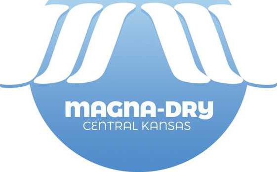 biz slt magna dry logo