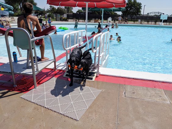new_vlc_Dog Park 2.jpg