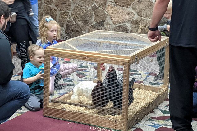 new_vlc_Little red hen and friends.jpg